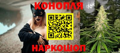 СК Будённовск