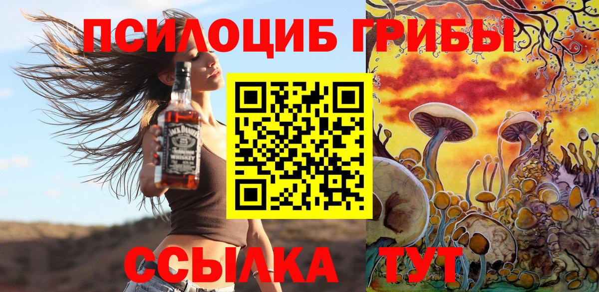 Псилоцибиновые грибы мицелий Энгельс