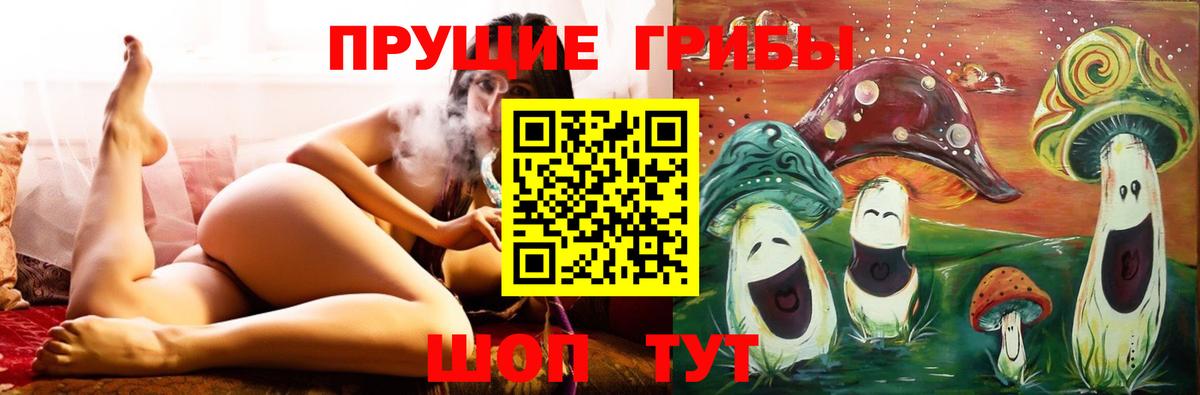 Галлюциногенные грибы Psilocybine cubensis  Вход с VPN  Энгельс 